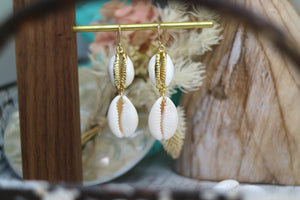 Cowrie shell gold earrings