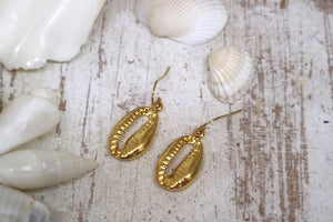 Gold cowrie shell earrings